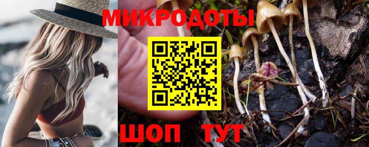Галлюциногенные грибы Psilocybine cubensis Нефтекумск